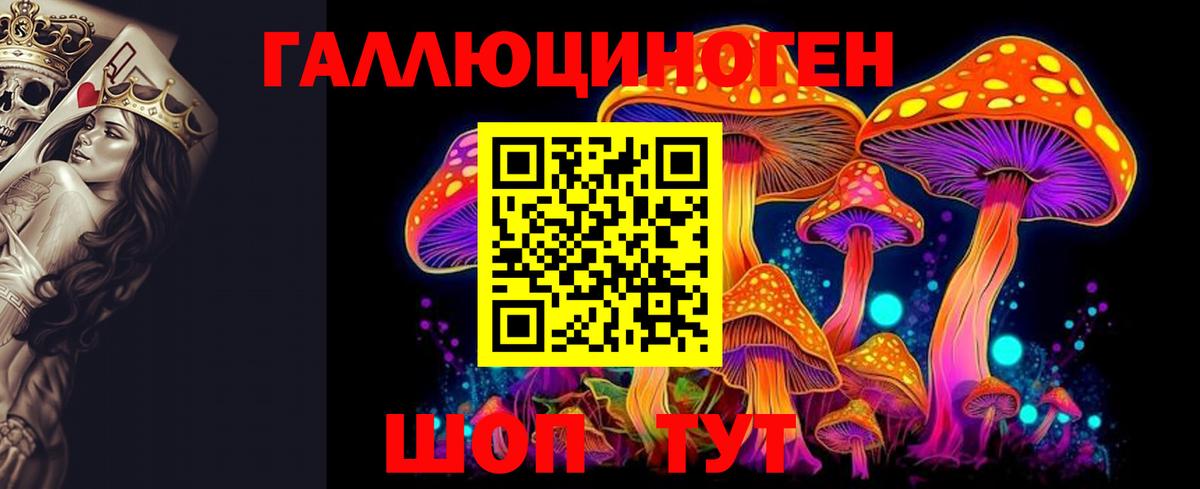 Благовещенск  Псилоцибиновые грибы ЛСД  Псилоцибиновые грибы мицелий  Вход с VPN 